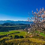 Скоро земля катар, моя любимая Окситания. Франция.